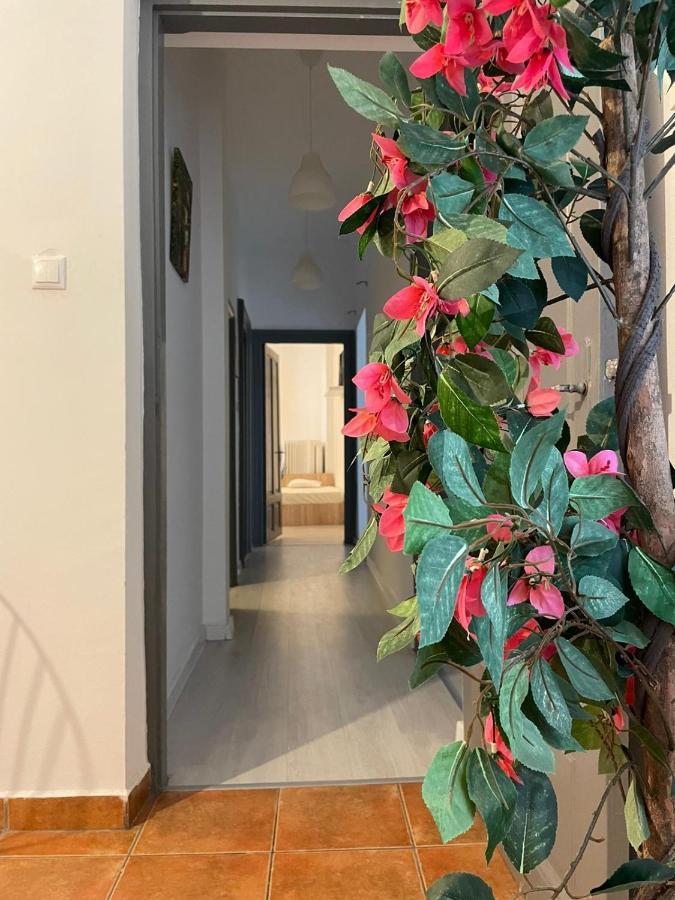 Outstanding 3Br Ultracentral Cityview Balcony Aaa Leilighet Bucureşti Eksteriør bilde